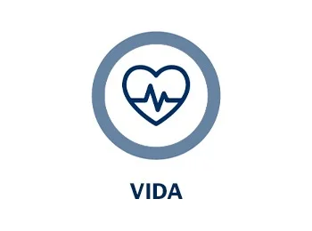 Vida